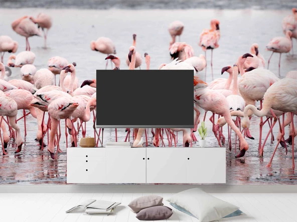 Deniz ve Pembe Flamingo Manzaları Duvar Kağıdı - Resim 3