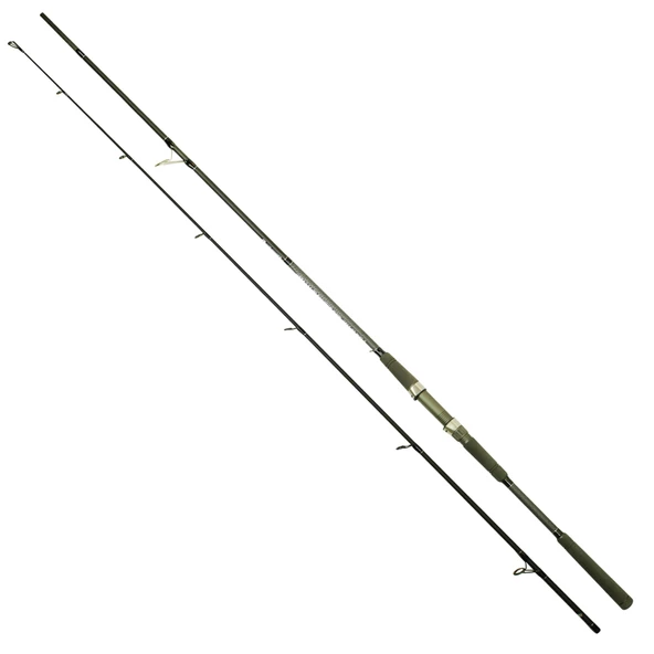 Captain 1465 Assai Spin 2 Parça Shore Jig Kamışı 30-125gr Atar  290 cm