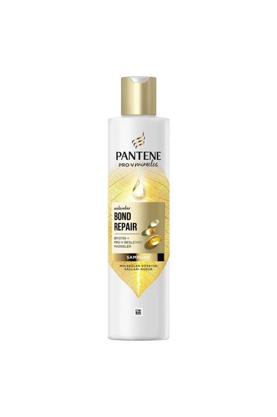 Pantene PRO-V  Bond Repair Yıpranmış Saçlar için Şampuan 250 ml - 2