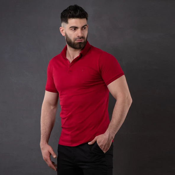 SAN&FA POLO YAKA SLİMFİT ERKEK T-SHİRT - Resim 2