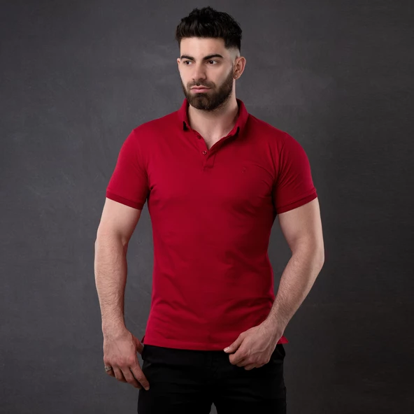 SAN&FA POLO YAKA SLİMFİT ERKEK T-SHİRT - Resim 4