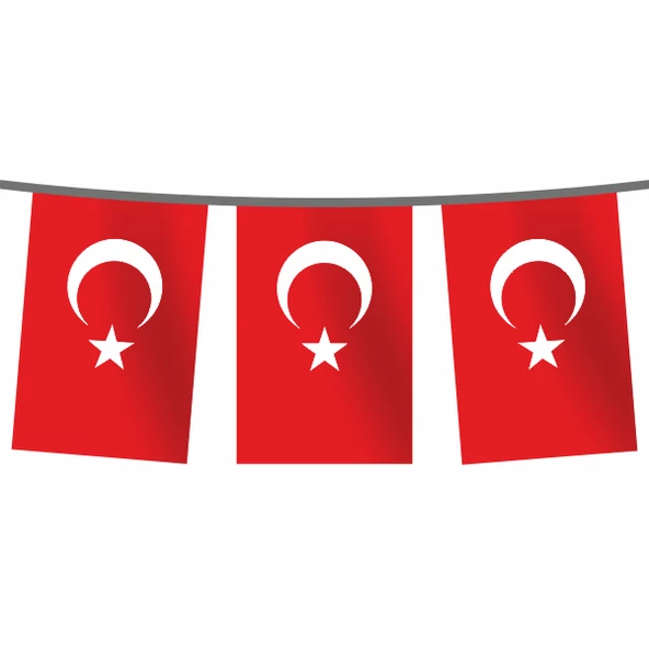 İpe Dizili 50x75 cm Türk Bayrağı Pigment Baskı 100 metre