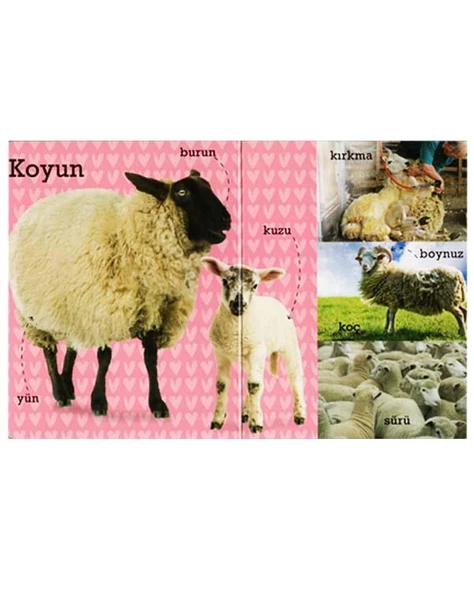 2 Yaş İlk 100  Çiftlikte Çiçek Yayınları - 2