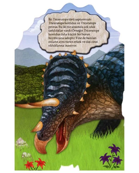 4 Yaş Şekilli Dinozorlar Triceratops Çiçek Yayınları - 3