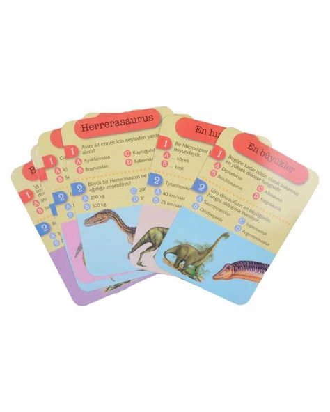 4 Yaş Dinozorlar Sorular ve Cevaplar Çiçek Yayınları - 3