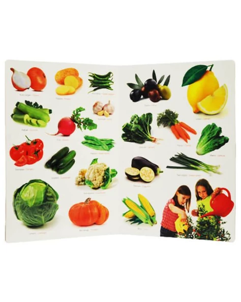 Ne Sorsan Bilir Minik Benim İlk Bitkiler Kitabım - Resim 2