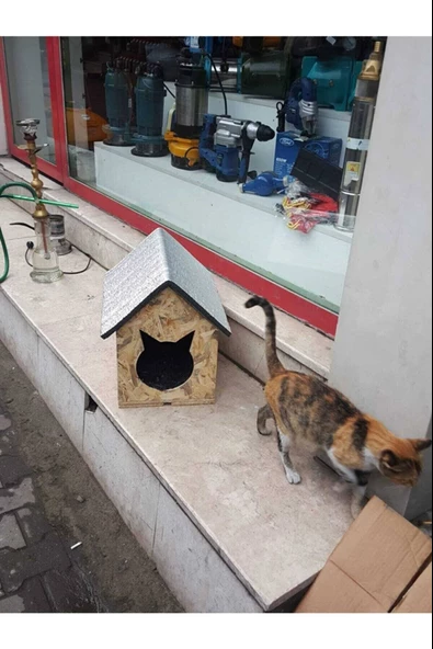 Dış & İç Mekan Ahşap Kedi Yuvası Ölçüleri: 35x40x40 - 3