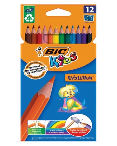 Bic Kids Evolution Kuru Boya Kalemi 12li