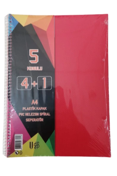 4+1 defter Plastik Kapak Spralli A4 4 kare 1 çizgili 125 Yaprak - 4