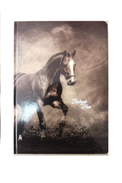 Sert Kapak Hafif Defteri 20x28cm Kareli 144 Yaprak