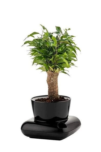 GRANDE HOME Poliwork Gala Dekoratif Tabaklı Saksı 3.5 Litre - 4