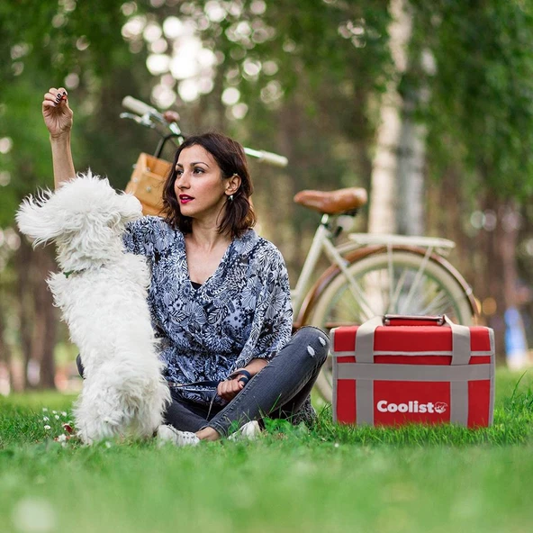 Coolist CL36R 36 Litre Katlanabilir Termos Bez Çanta / Buzluk - Resim 8