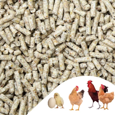 Narım 1 KG Pelet Proteinli Özel Tavuk Kaz Ördek ve Kanatlı Hayvan Besi Yumurta Yemi 1 KG - 3