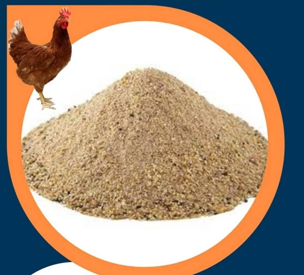 Narım 2 KG Pelet Proteinli Özel Tavuk Kaz Ördek ve Kanatlı Hayvan Besi Yumurta Yemi 2 KG - 3