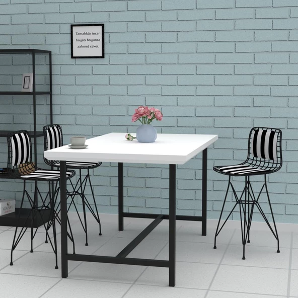 Knsz ufak boy tel bar sandalyesi 1 li uslu syhtuan sırt minderli 55 cm oturma yüksekliği mutfak bahçe cafe ofis - Resim 3