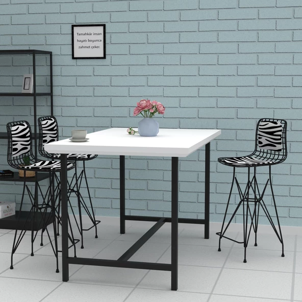 Knsz orta boy tel bar sandalyesi 1 li mağrur syhbonar sırt minderli 65 cm oturma yüksekliği mutfak bahçe cafe ofis - Resim 3