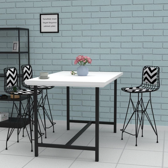 Knsz orta boy tel bar sandalyesi 1 li mağrur syhaldo sırt minderli 65 cm oturma yüksekliği mutfak bahçe cafe ofis - Resim 3