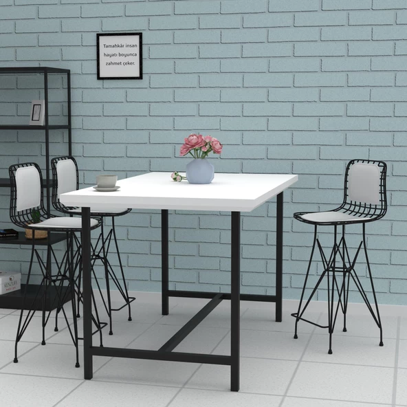 Knsz orta boy tel bar sandalyesi 1 li mağrur syhbyz sırt minderli 65 cm oturma yüksekliği mutfak bahçe cafe ofis - Resim 3