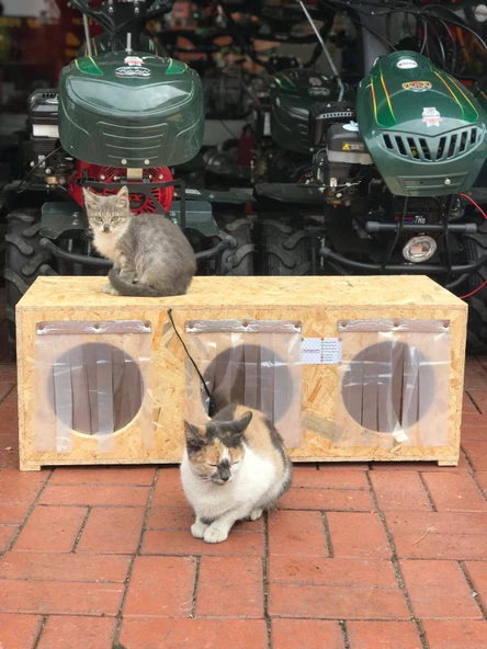 Narım 3'lü Kedi Evi Dış Mekan İzalasyonlu Ara Bölmeli ÖZEL TASARIM - 10