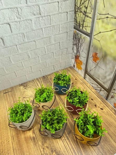 Hometarz Profesör Saksılar Yapay Çimli Sukulent Gözlüklü Saksı Bitki - 12