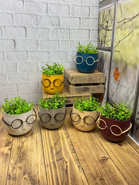 Hometarz Profesör Saksılar Yapay Çimli Sukulent Gözlüklü Saksı Bitki - 4