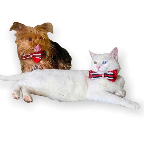 GC Silver Yılbaşı Kedi Papyonu - 3