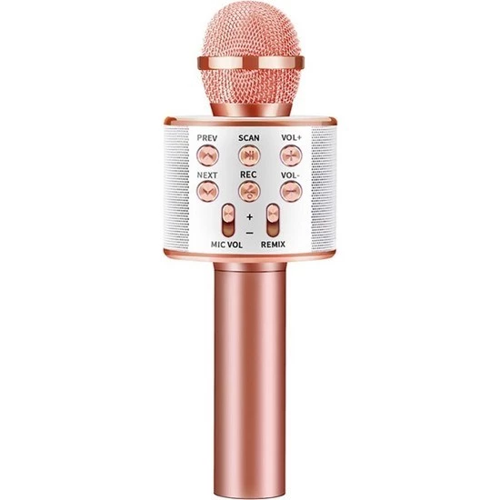 C-8500 Sihirli Bluetooth Karaoke Mikrofon Usb Kart Girişi - 10