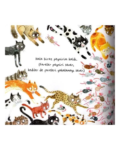 Eolo Kedi Koleksiyonu - 2