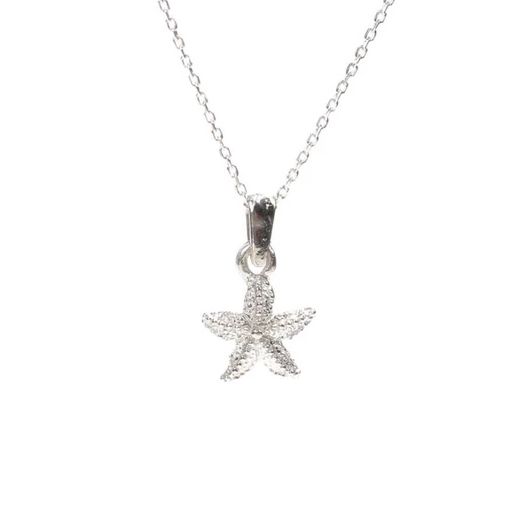 925 Ayar Gümüş Minik Deniz Yıldızı Kolye ürün görseli