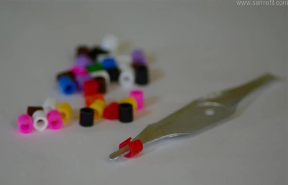 Hint Bülbülü, Finch ,İspinoz, Kuş Bileziği 2mm 200adet - 3