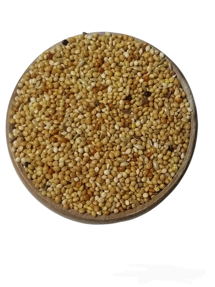 Karışık Kuş Yemi 500gr