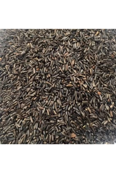Nijer Tohumu 1Kg Kuşlar Için Nijer Tohum Yemi Kızıştırıcı Yem