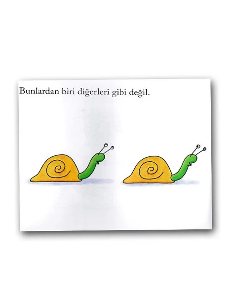 Eolo Bunlardan Biri Diğerleri Gibi Değil - 2