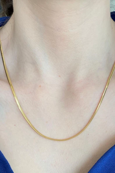 14 Ayar Yeşil Altın Kadın Balık Sırtı Zincir Kolye 2,5 mm - 2