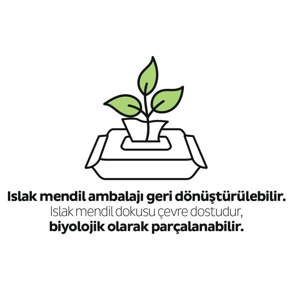 Sleepy Ecologic Yenidoğan Islak Bebek Bakım Havlusu 24x40 (960 Yaprak) - 4