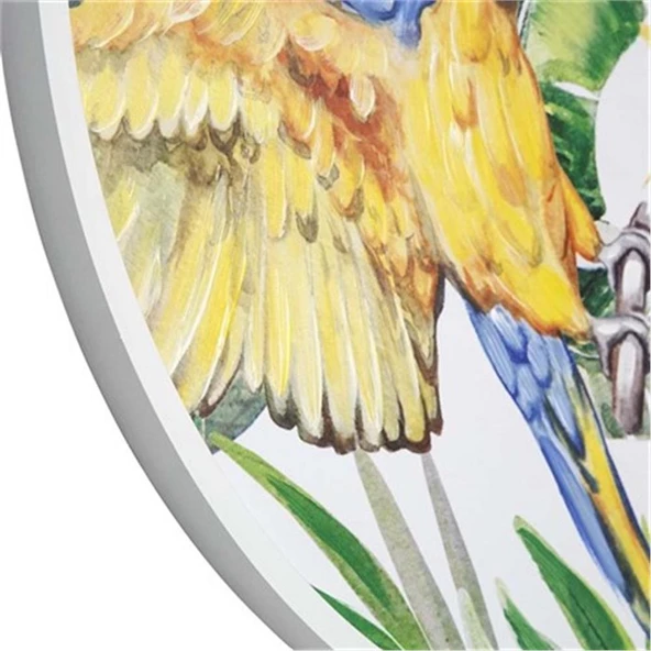 Vitale Pera Papağanlar Ahşap Tablo 80x80 cm AK.FW0027 - 5