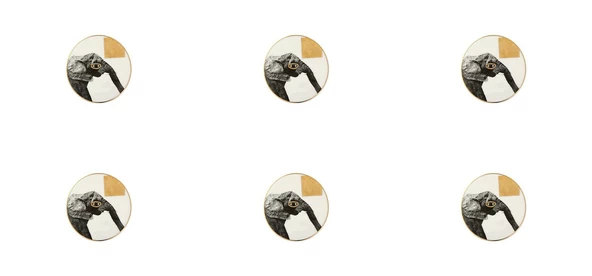 Porland Wild Life Elephant Bardak Altlığı 10cm 6lı 04ALM006626