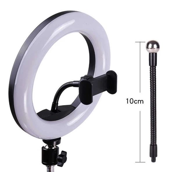 Fuchsia M20 Işıklı Telefon Tutucu Ring Light