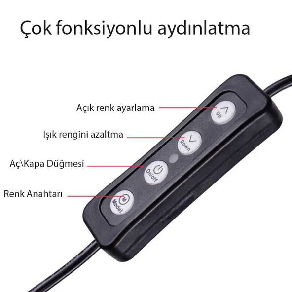 Fuchsia M20 Işıklı Telefon Tutucu Ring Light - 3
