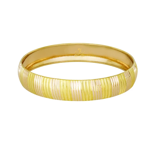 12 gr(gram) 12 mm 22 Ayar İşçiliksiz Şarnelli Bilezik TBC0012-112 ürün görseli