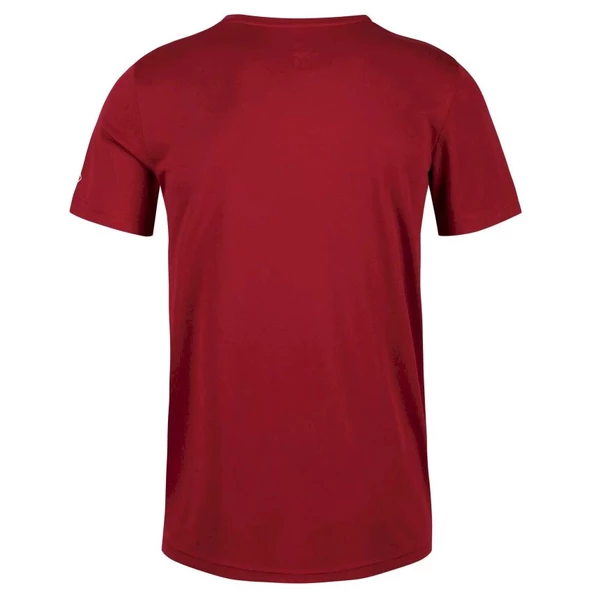 Regatta Fingal V Erkek Kısa Kollu Tişört Bordo RMT216 - Resim 5