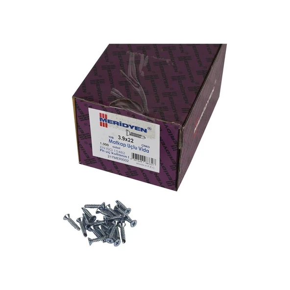 Meridyen Matkap Uçlu Yhb 3.9x22 1000 Li Paket