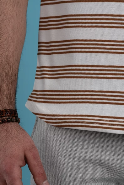 SLİMFİT ÇİZGİLİ ÖRME KUMAŞ ERKEK T-SHİRT - 4