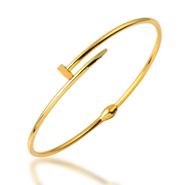 Taşsız 14 Ayar Çivi Altın Bilezik ürün görseli 1