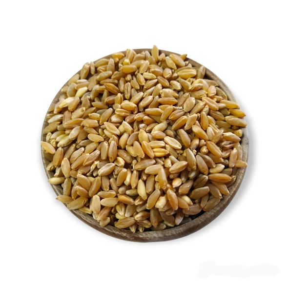 Hanımelipetstore Çimlendirmelik Organik Buğday 1 Kg - 5