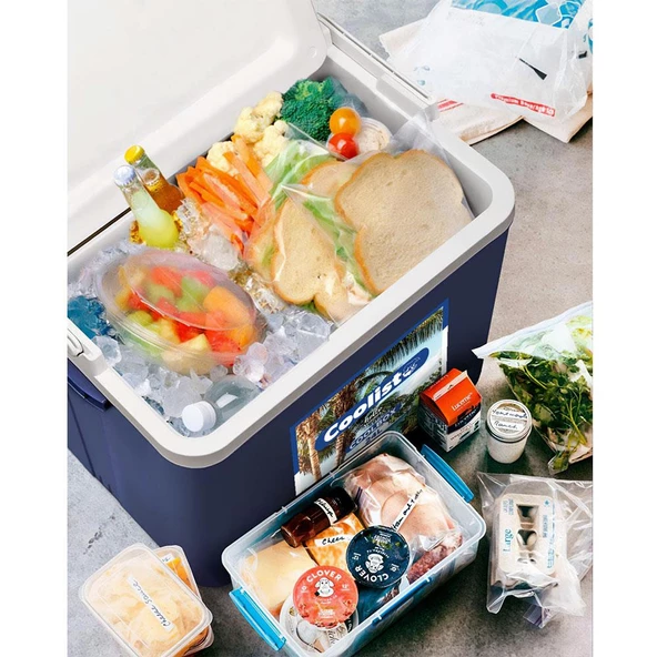 Coolist Clb24set 24 Litre Buzluk + 2 Adet 400Gr. Buz Kaseti - 2