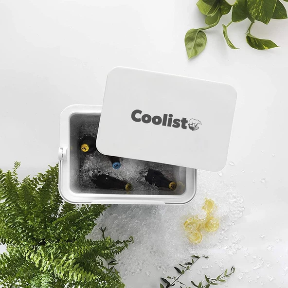 Coolist CLB30SET 30 Litre Buzluk + 3 Adet 400gr. Buz Kaseti - 12