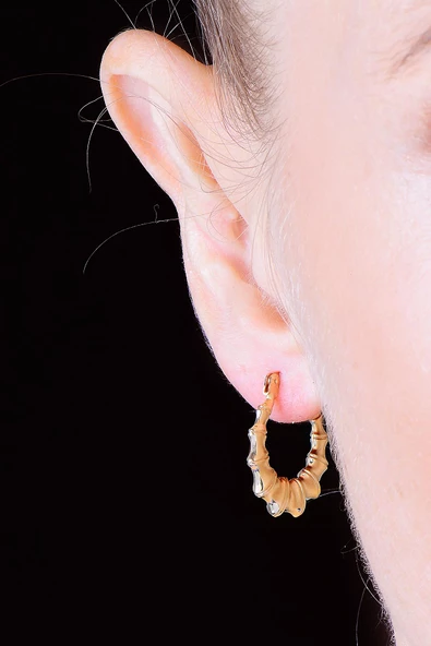 Gümüş altın yaldızlı tırtıl şarnel küpe - 4