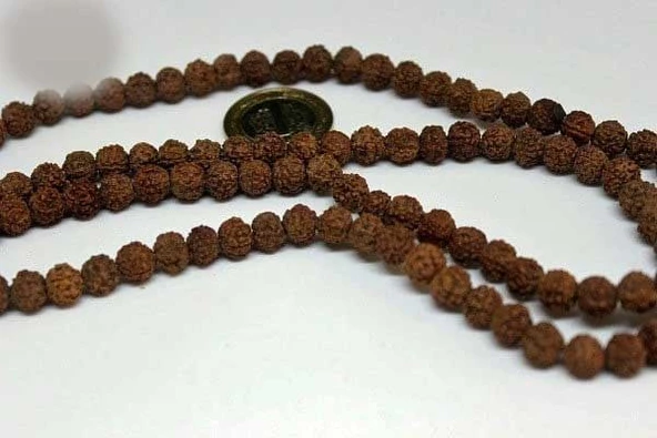 Rudrashka Tohum Dizi 8mm (Mala yapımı için) 108 lik - Resim 3