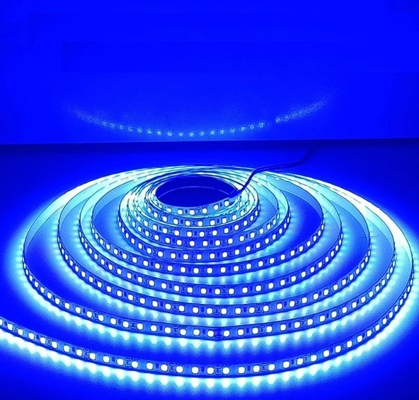 10 METRE  CATA CT 4484 10 Çip İç Mekan Şerit Led Mavi 12 V - 2